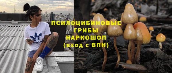 амфетамин Алексин