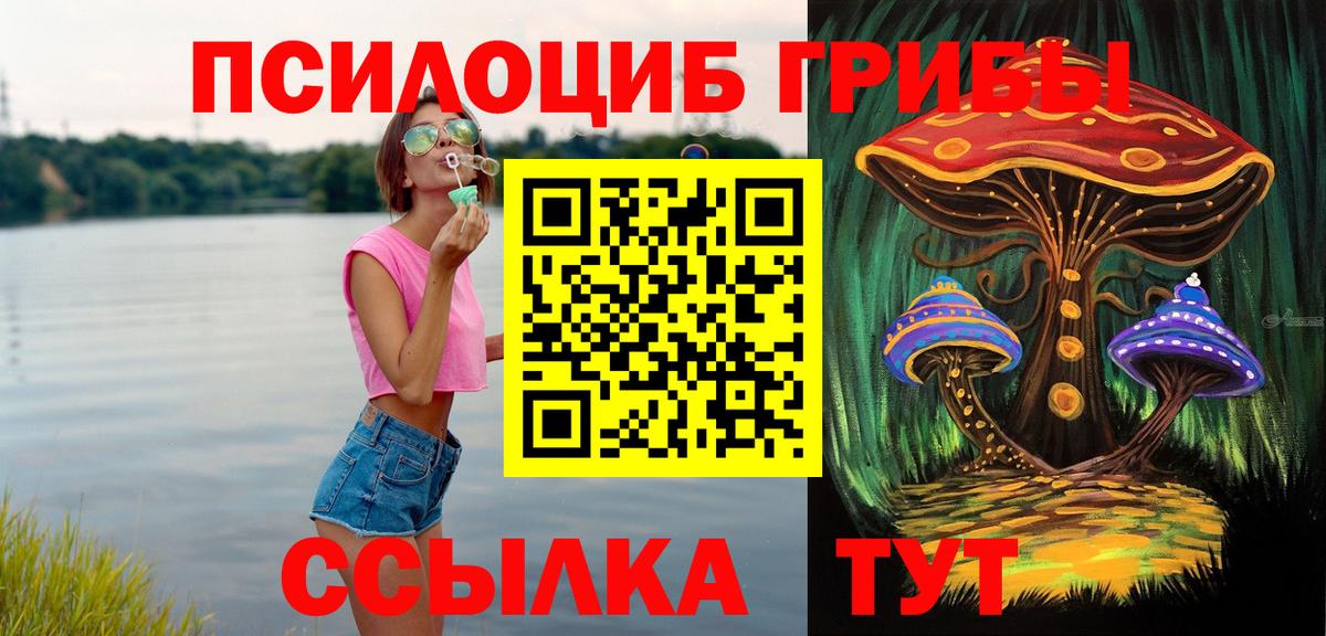 цены наркотик  Псилоцибиновые грибы мухоморы  Вход с VPN  Галлюциногенные грибы Psilocybe  Углич 